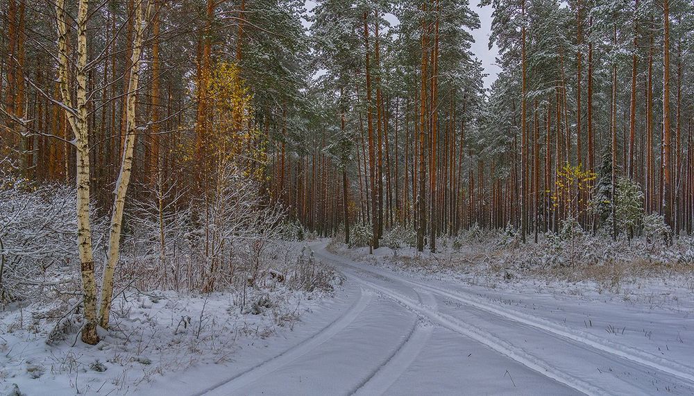 Кружева октября. Первый снег