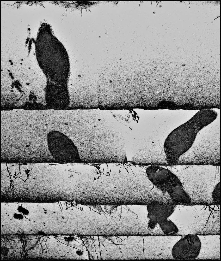Photo 1040457