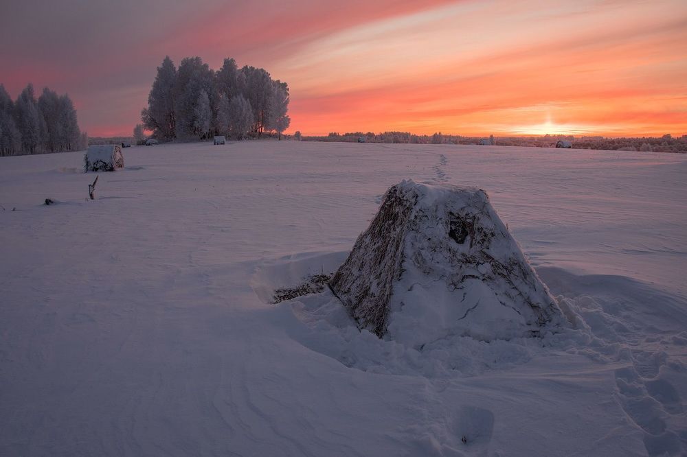 За мышами