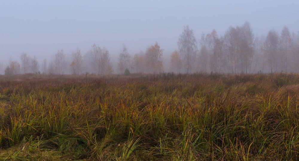 Ноябрьское безмолвие