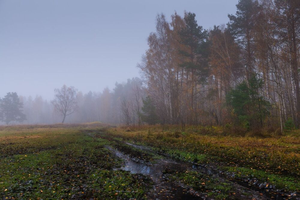 Ноябрьское безмолвие