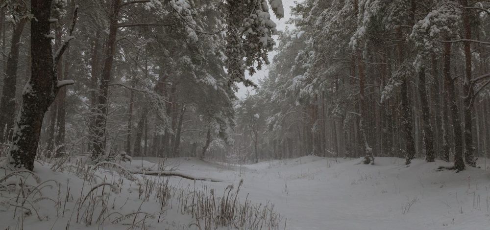 Мело, мело по всей земле