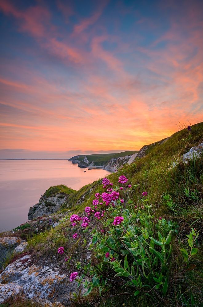 Dorset, UK