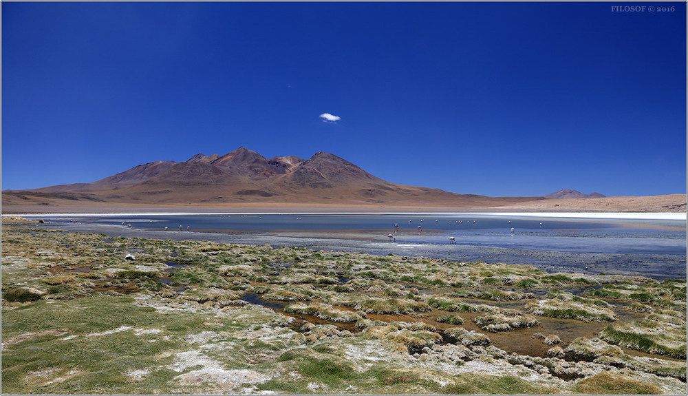 Bolivia