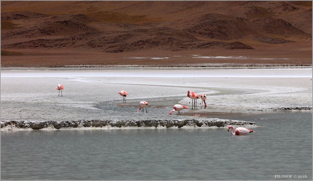 Bolivia