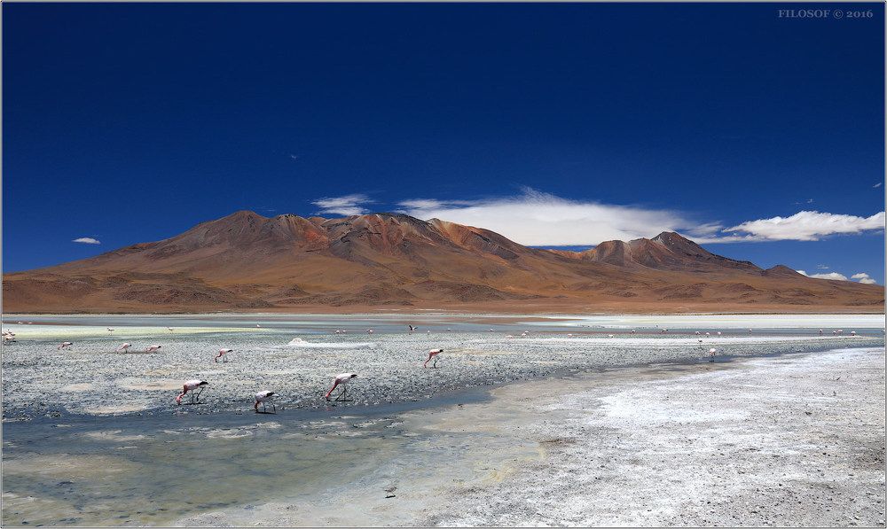 Bolivia