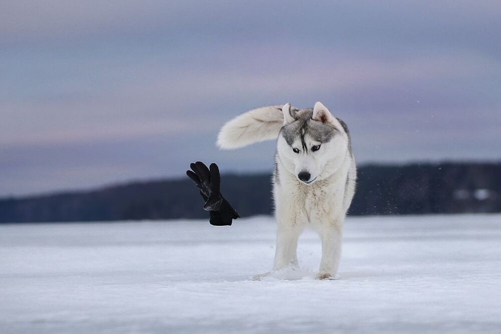 На прогулке