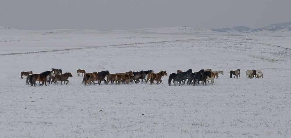 В степях Хакасии.