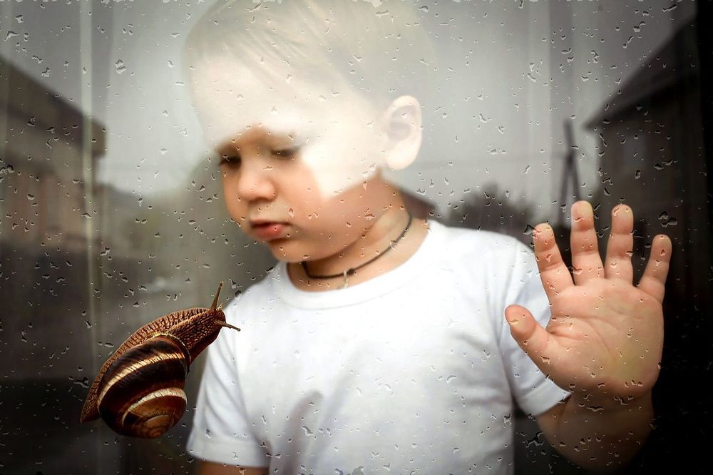 Photo 1043000