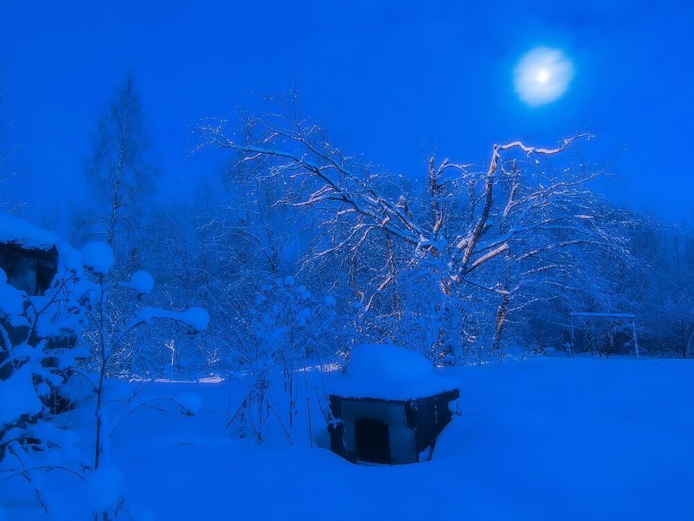 О домах...о судьбах....