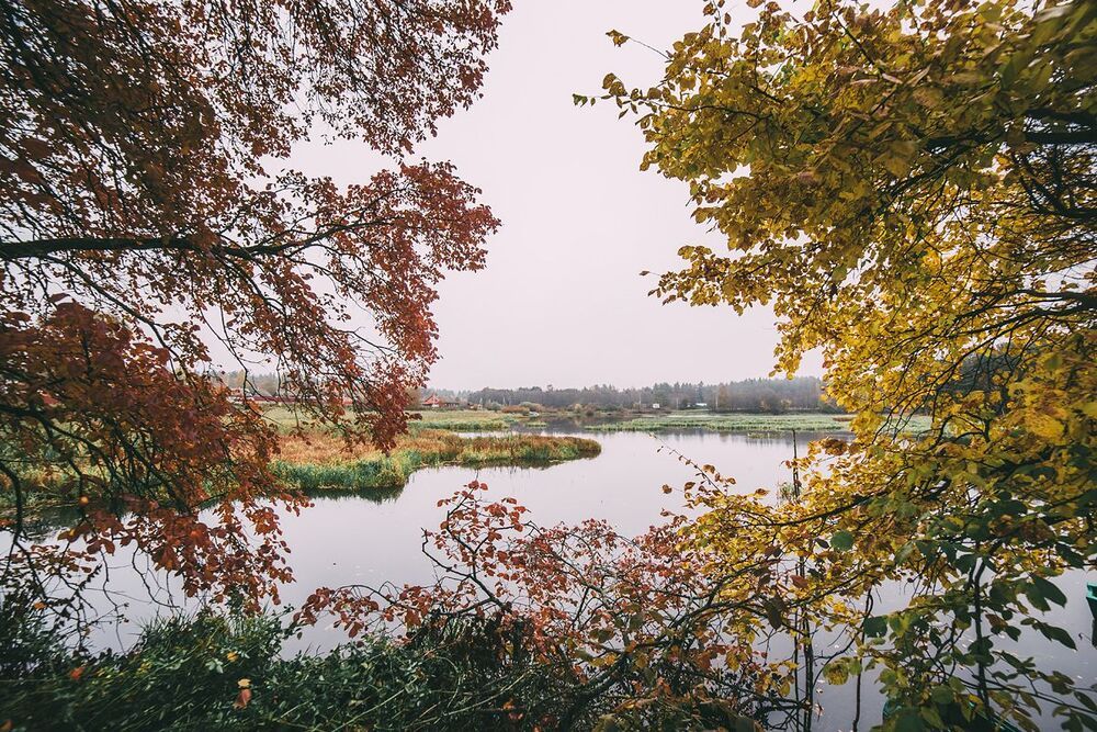 Осень