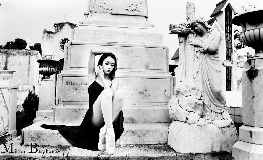 Viviendo El Ballet