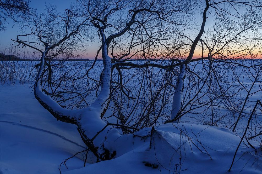 Морозное утро на Жижицком озере