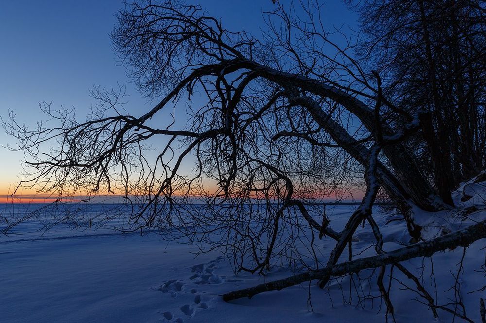 Морозное утро на Жижицком озере