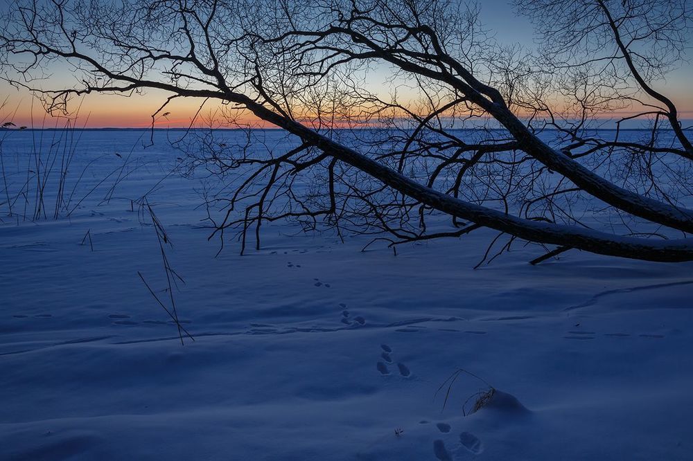 Морозное утро на Жижицком озере