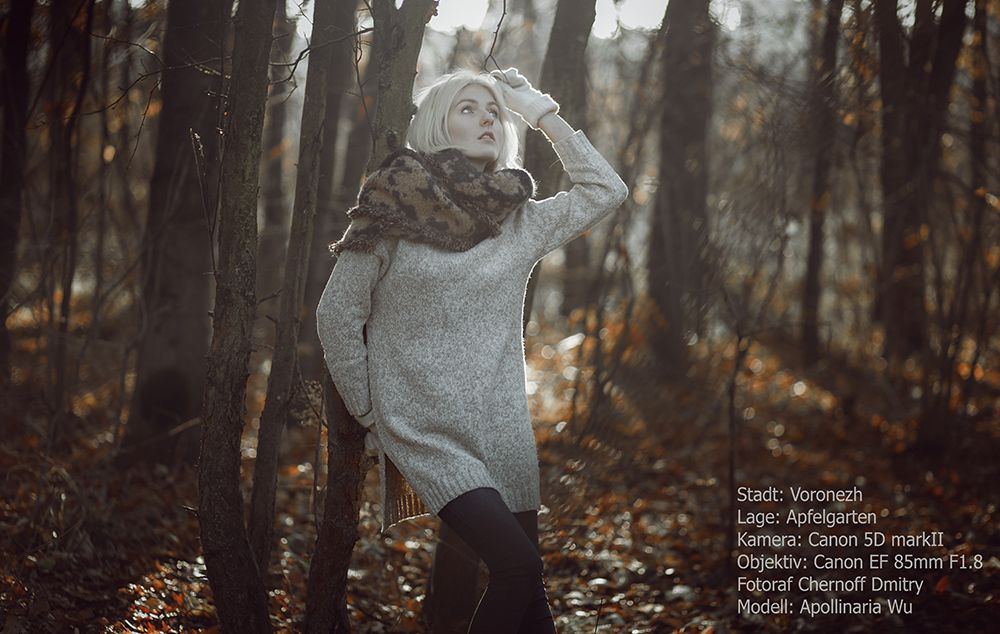 Speicher November