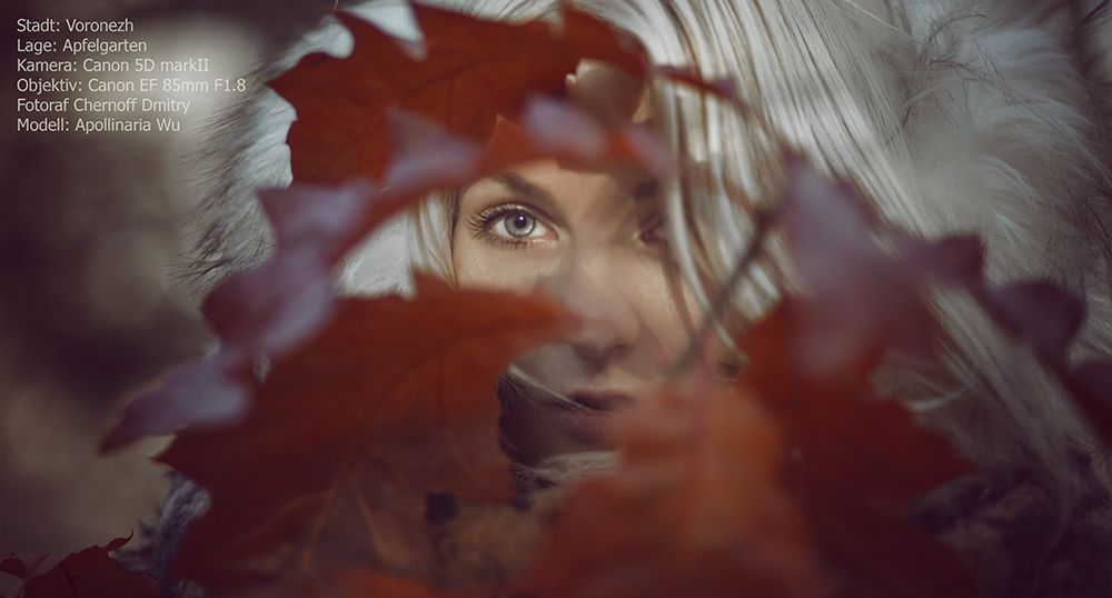 Speicher November