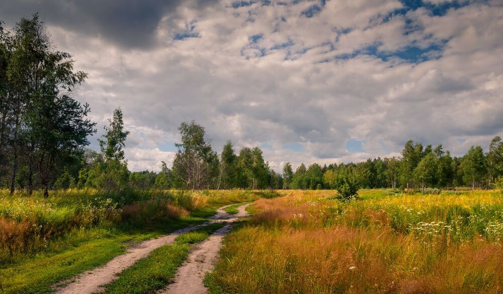 Перед грозой