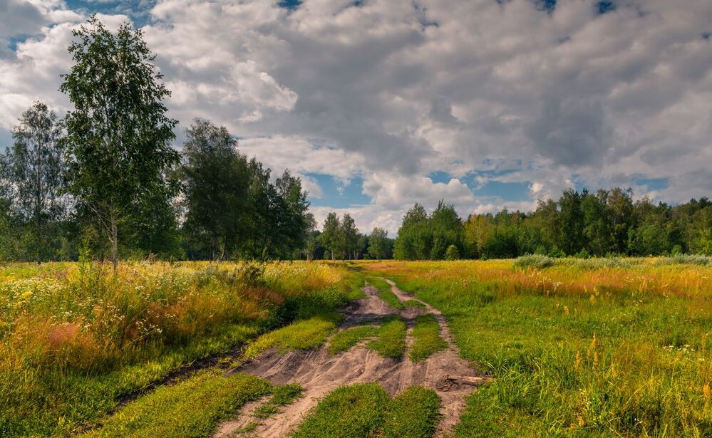 Перед грозой