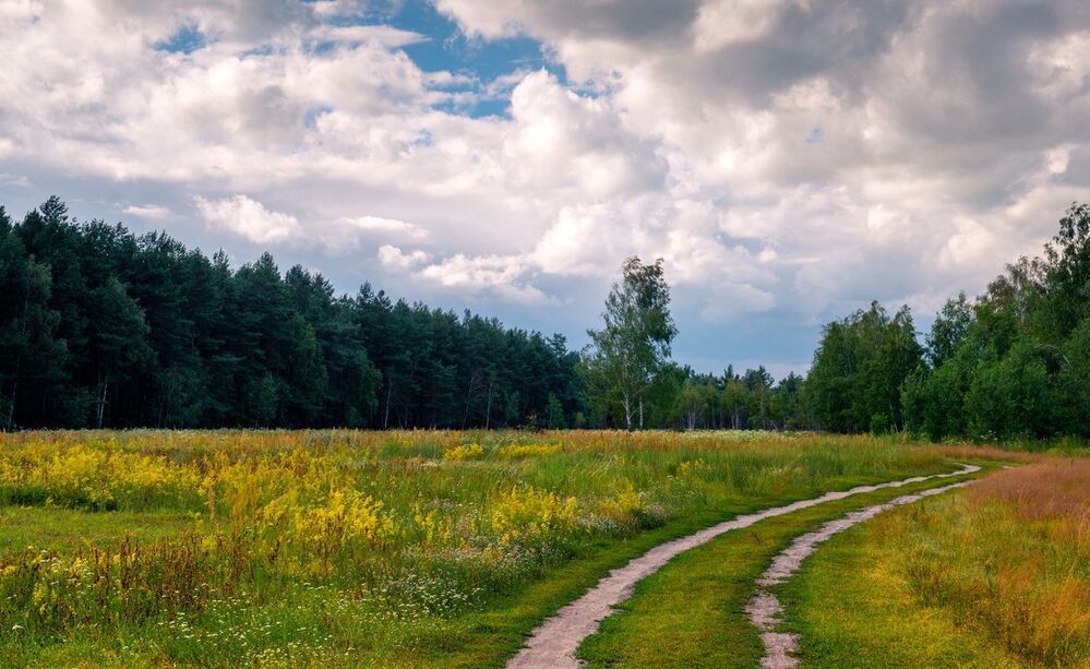 Перед грозой