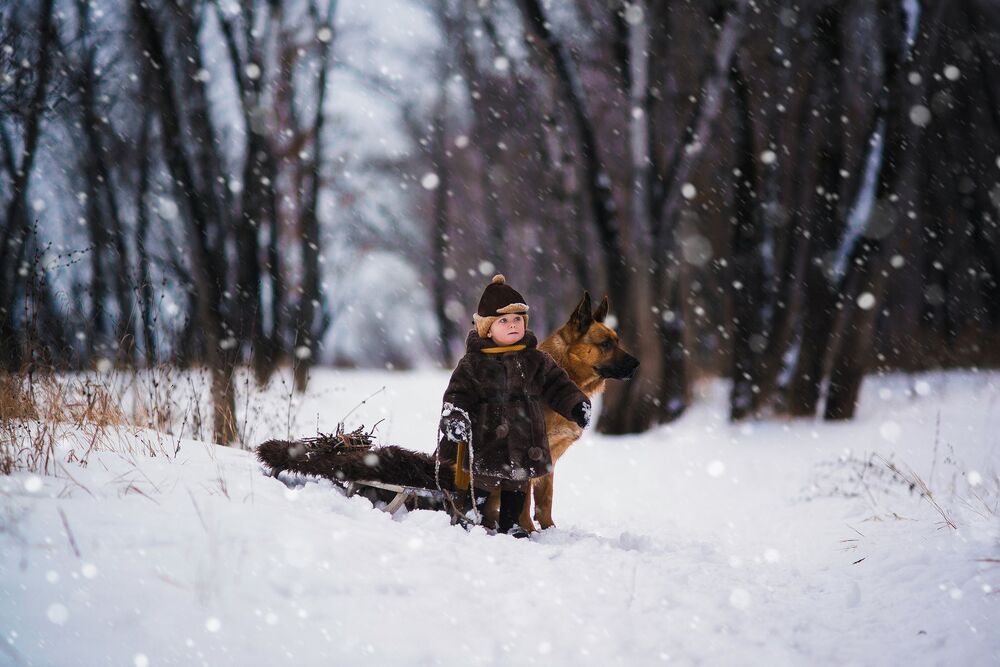 В лес за хворостом