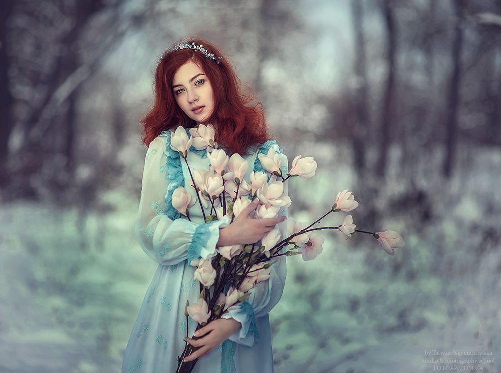 Winter Fairy