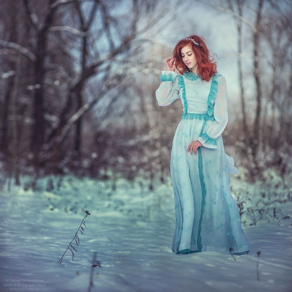 Winter Fairy