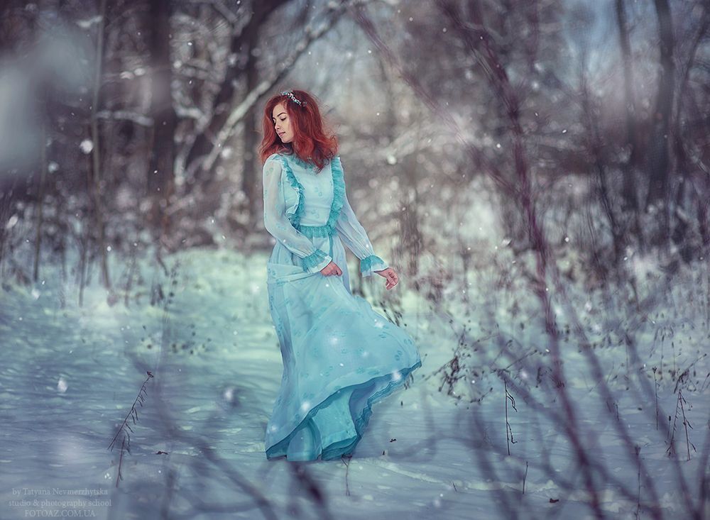 Winter Fairy