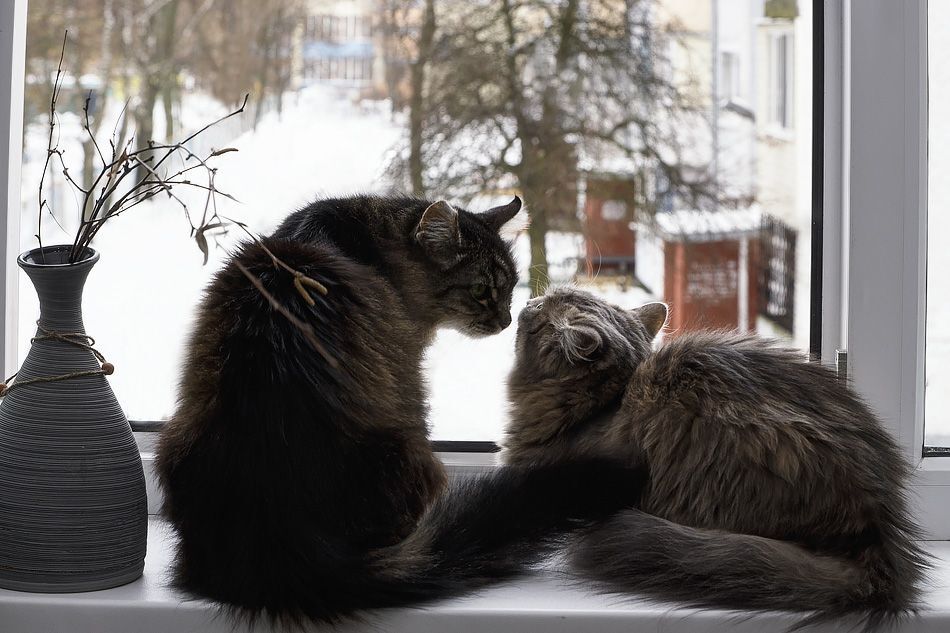 - Скоро март, оглянуться не успеешь!
