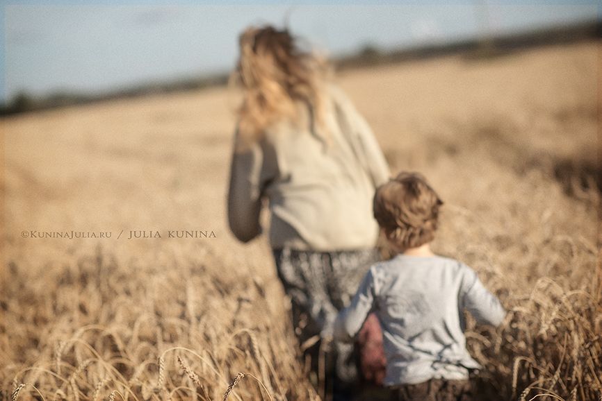 золотые колоски