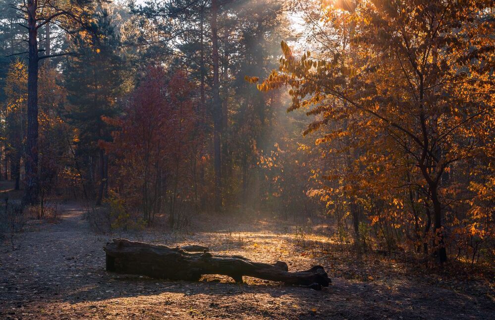 Величие осени
