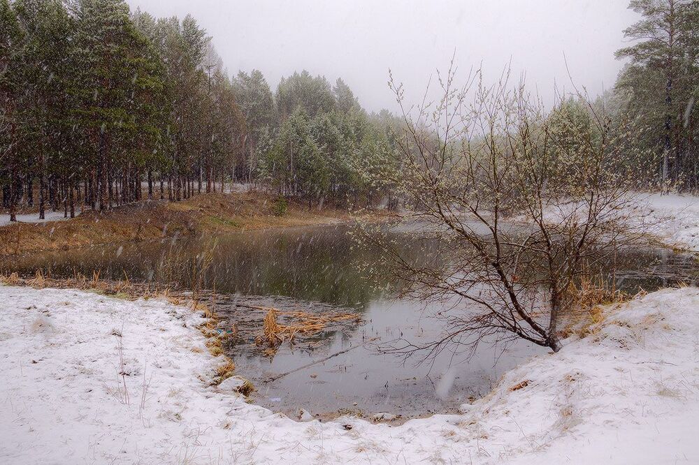 Майский снег