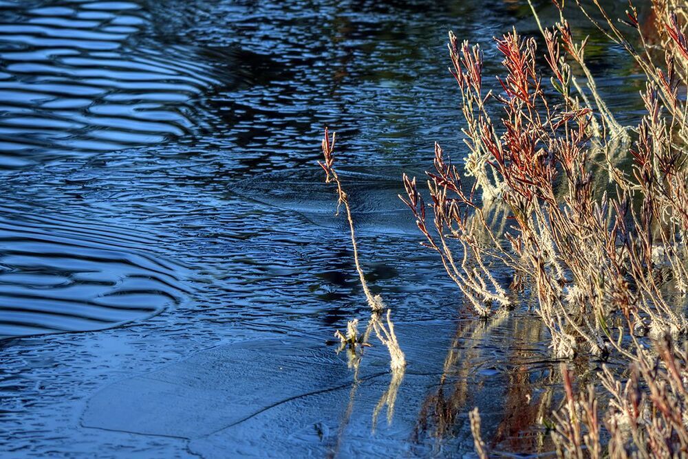 Пора шуршащих листьев