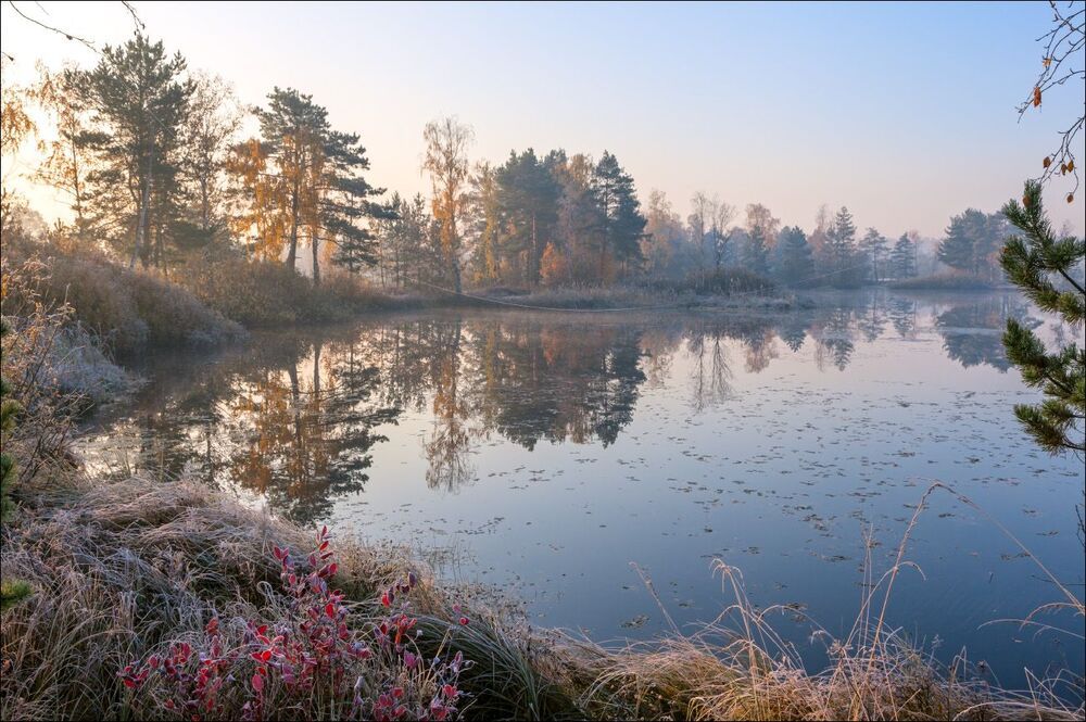 Утренняя безмятежность
