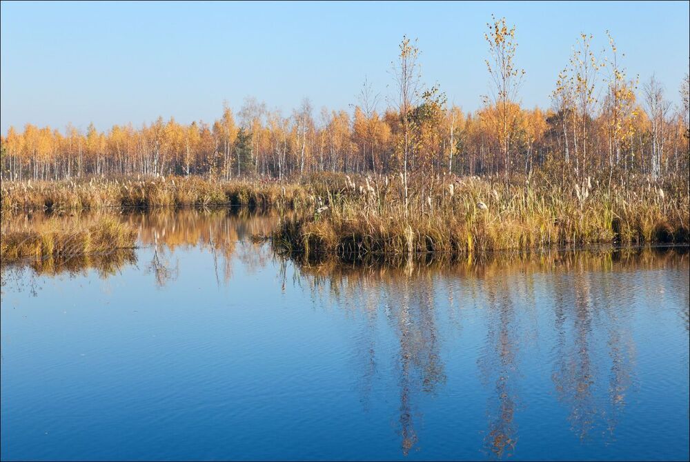 Опрокинутые в небо