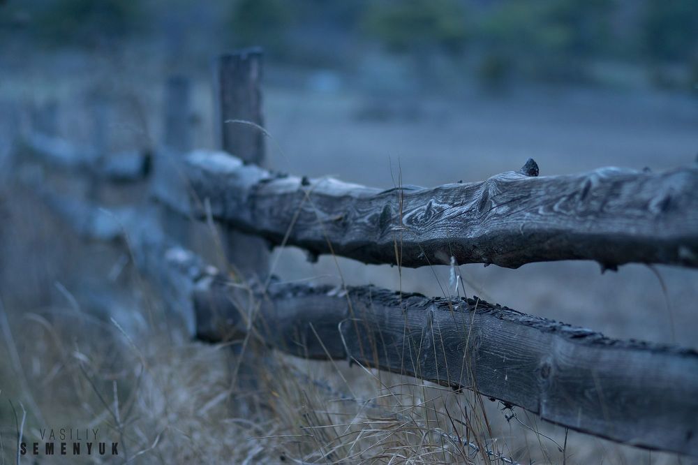 Photo 1049569