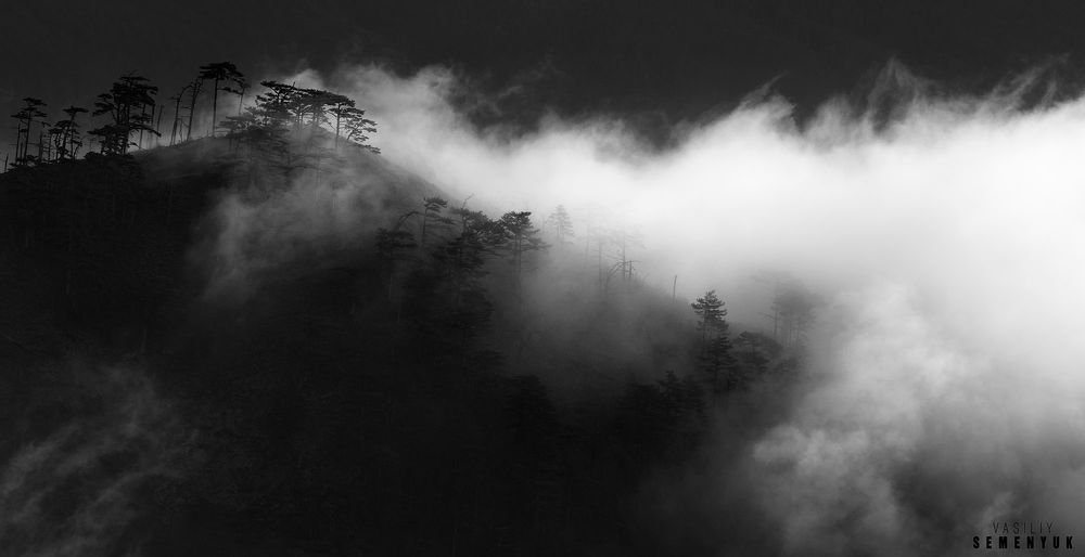Photo 1049572