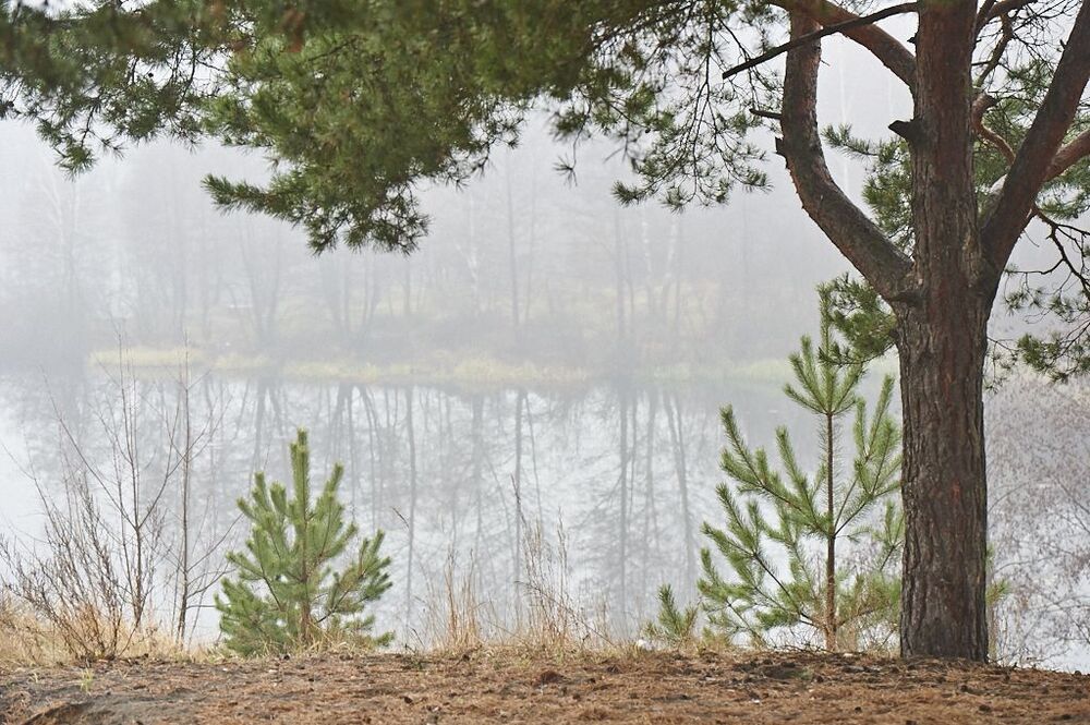 mist