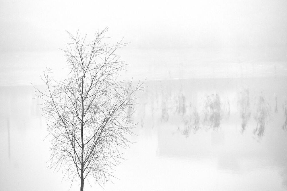 mist