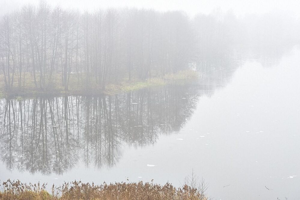mist