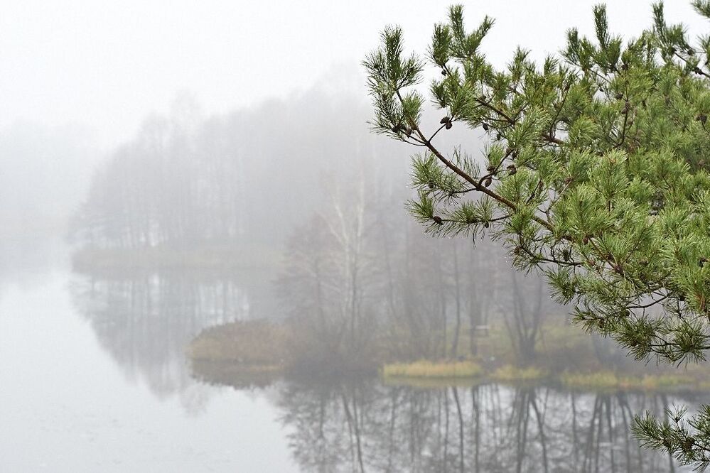 mist