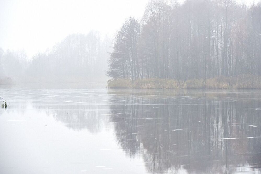 mist