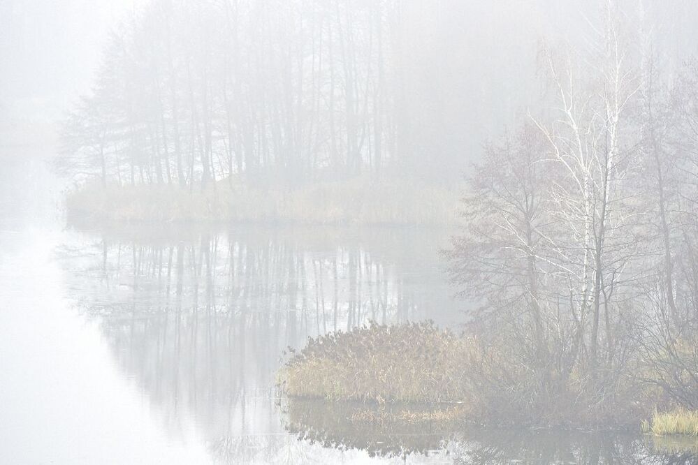 mist