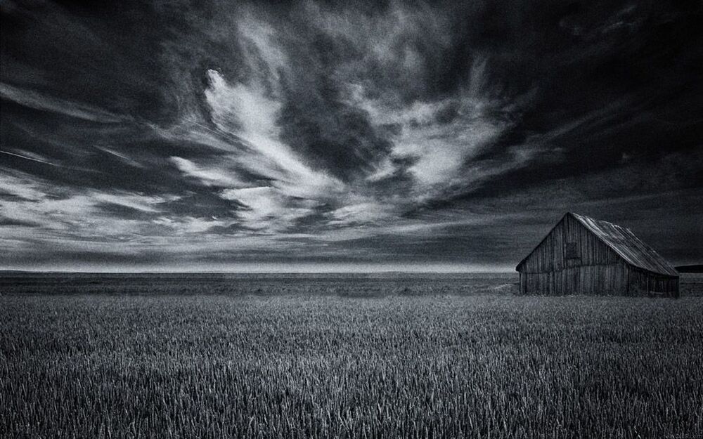 One in the field..
