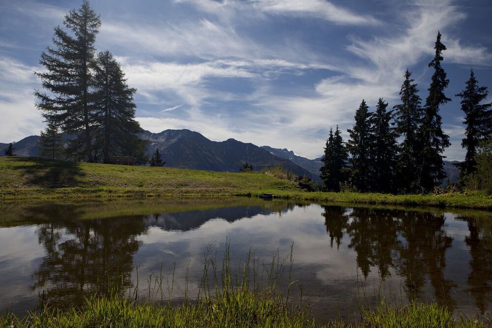 Из жизни деревушки Riederalp