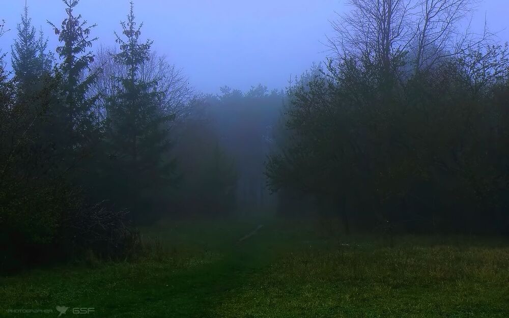 Уходящие в туман