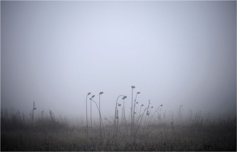 АБСТРАКТНАЯ ПРИРОДА