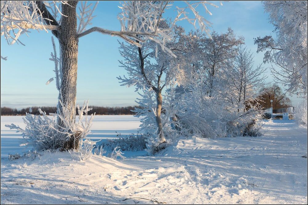 Морозное серебро