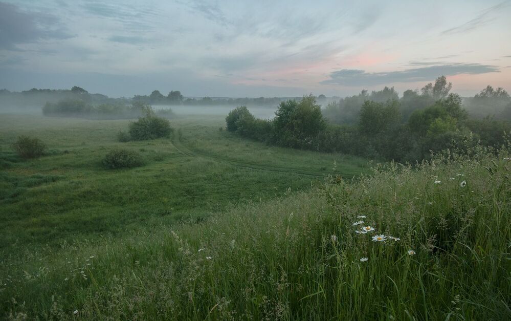 Photo 1052838