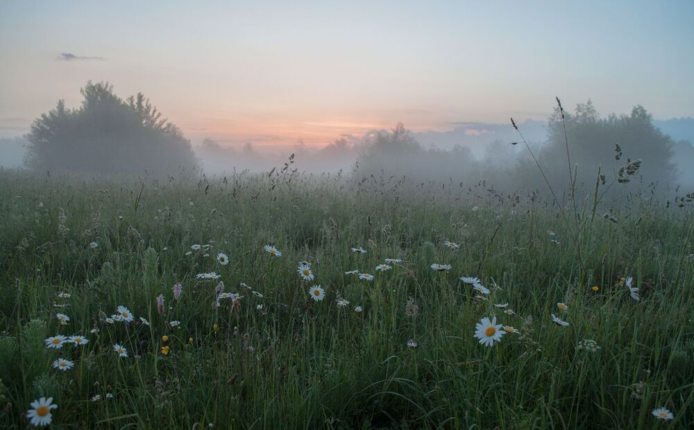 Photo 1052839